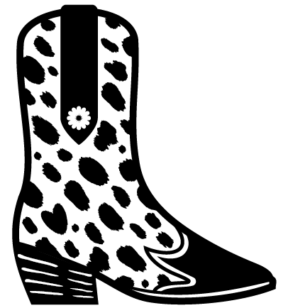 Punchy 2025 cowgirl boutique