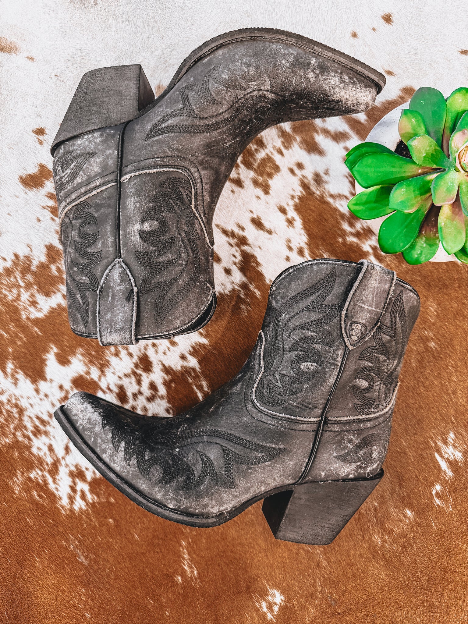 Ariat Chandler Boot (Distressed Black) - Main Image